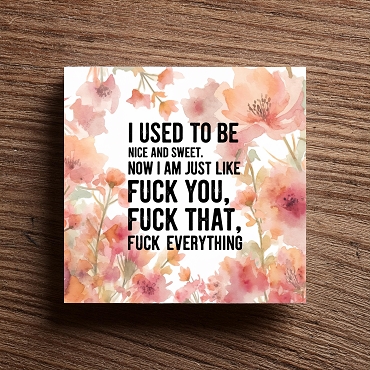I Used To Be Nice and Sweet Sweary Sarcasm Sign